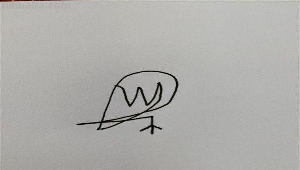 画眉鸟怎么画简笔画 简笔鸟的画？