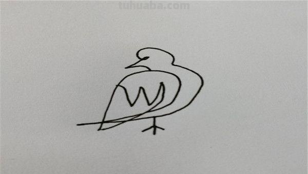 画眉鸟怎么画简笔画 简笔鸟的画？