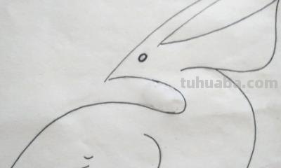 画眉鸟怎么画简笔画 简笔鸟的画？