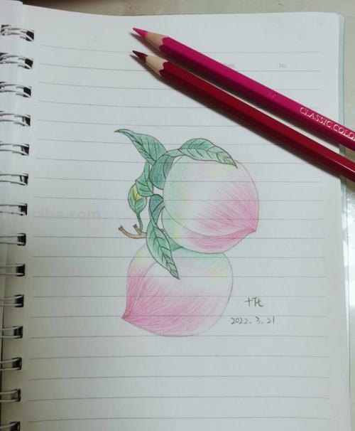 初学彩铅画水蜜桃怎么画 怎样画彩铅画?
