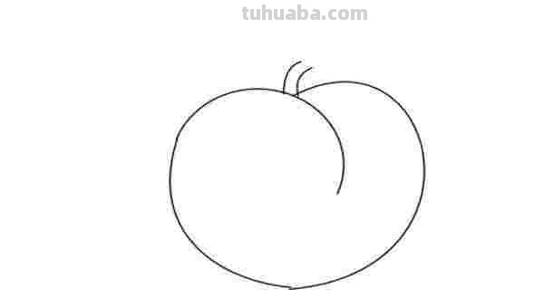 初学彩铅画水蜜桃怎么画 怎样画彩铅画？