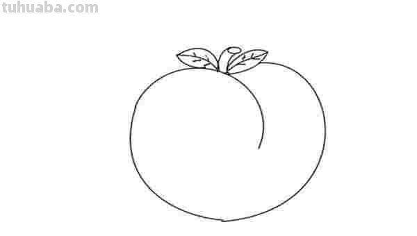 初学彩铅画水蜜桃怎么画 怎样画彩铅画？