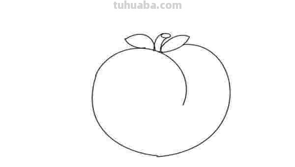 初学彩铅画水蜜桃怎么画 怎样画彩铅画？