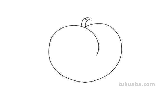 初学彩铅画水蜜桃怎么画 怎样画彩铅画？