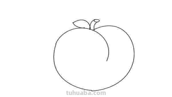 初学彩铅画水蜜桃怎么画 怎样画彩铅画？