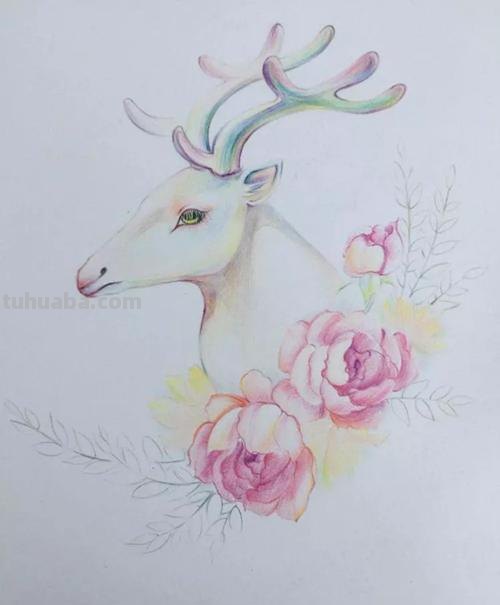 彩铅画最漂亮的怎么画 一步一步教彩铅画?