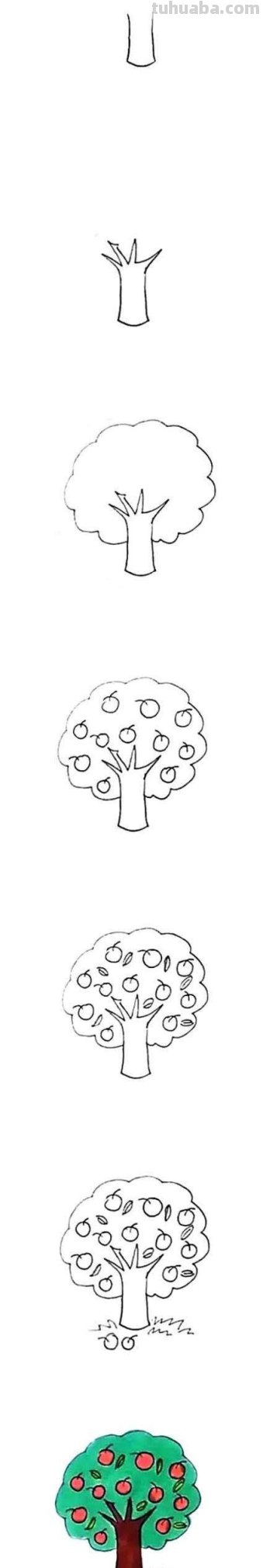 苹果树怎么画 简笔画 苹果树儿童画?