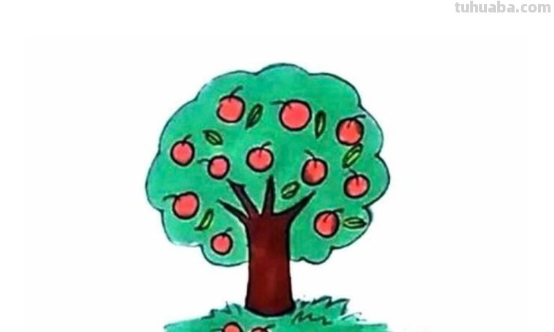苹果树怎么画 简笔画 苹果树儿童画？