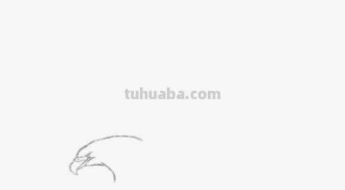 大鹏展翅怎么画彩铅画 怎么用彩铅画龙和凤凰？