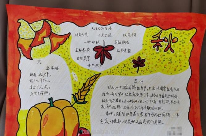秋天的手抄报手抄报怎么画 关于秋天的手抄报，有哪些？