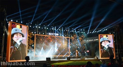 色彩年会:展现个性魅力的绚丽盛宴