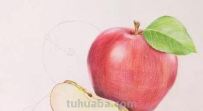 新手怎么画彩铅画水果图片 彩铅画的最简单的水果？