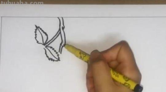 爬山虎简笔画怎么画 爬山虎的怎么画？