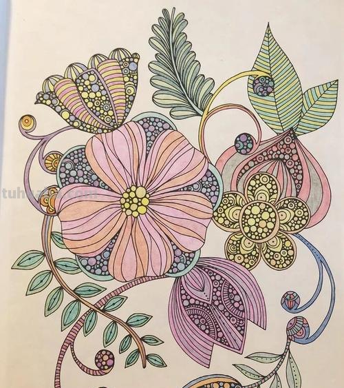 FBA色彩:为你的涂画作品增添绚丽多彩的魅力