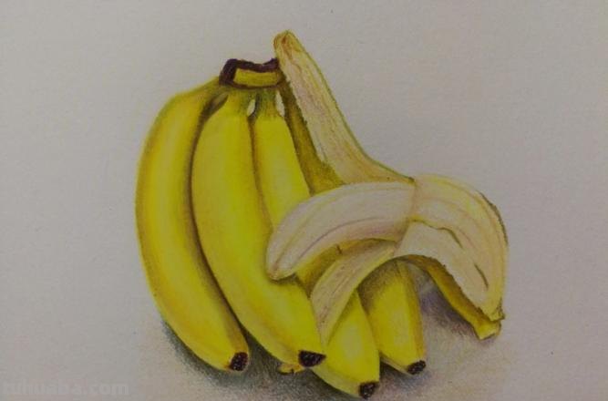 用彩铅画香蕉怎么画视频 香蕉应该怎么画?