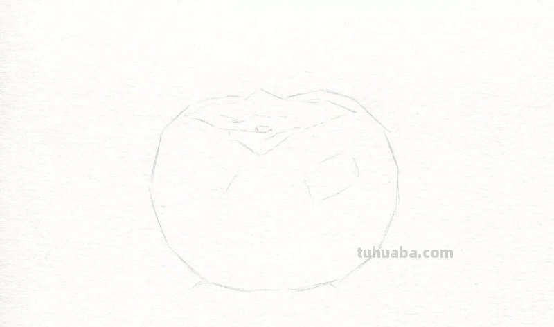 用彩铅画柿子，祝你事事如意