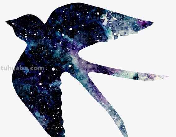 燕子色彩图及燕子色彩画:探索燕子群体的多样化色彩