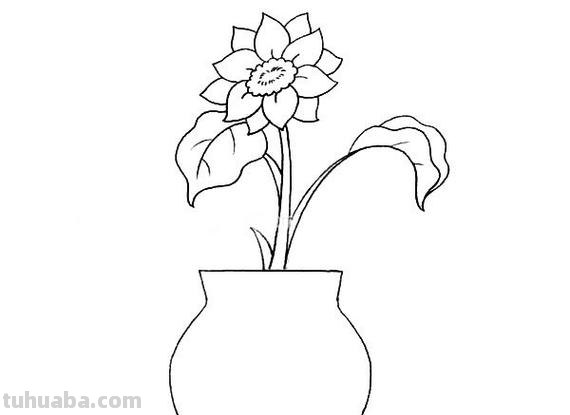 怎么画花瓶和花简笔画 简笔画入门必学教程——花瓶与花朵?