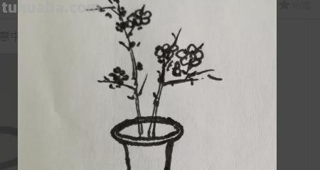 怎么画花瓶和花简笔画 简笔画入门必学教程——花瓶与花朵？