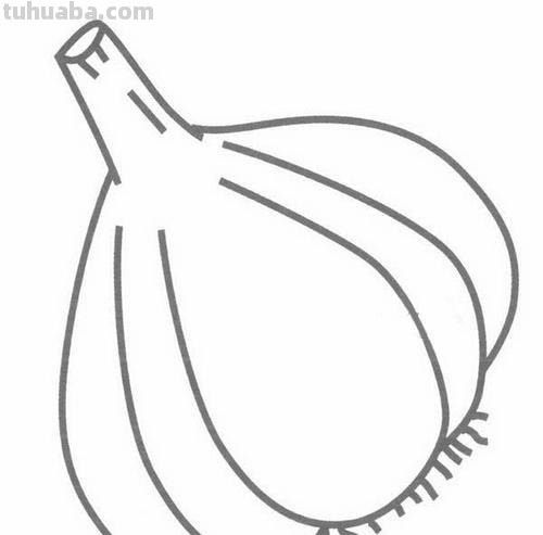 大蒜怎么画简笔画图片 儿童简笔画蒜苗的画法？