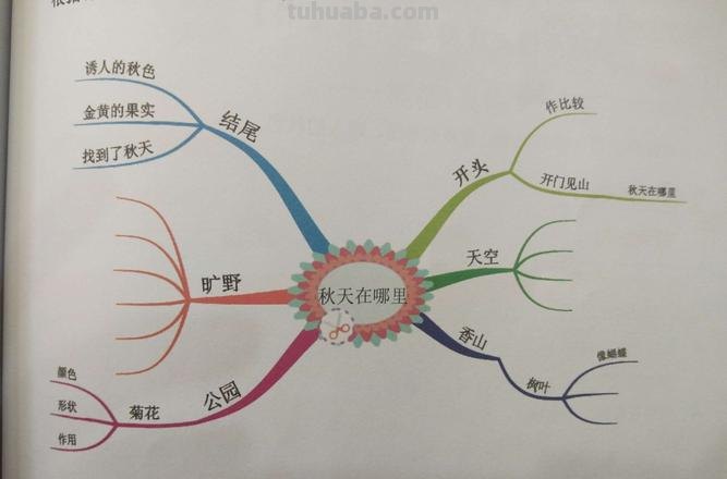 文章段落思维导图怎么画 作文的思维导图怎么画？