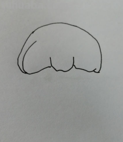 怎么画女生简单又漂亮