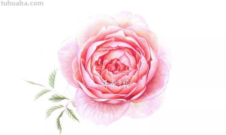 彩铅画需要什么颜色 一般画彩铅画需要多少种颜色？