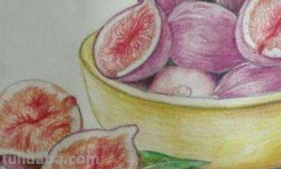 彩铅画需要什么颜色 一般画彩铅画需要多少种颜色？