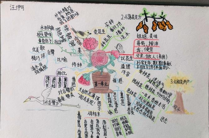 思维导图怎么把题目写好 思维导图题怎么写?