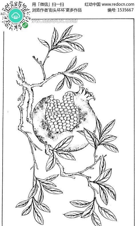 石榴树怎么画简笔画 简笔画石榴花?