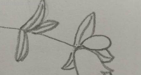 石榴树怎么画简笔画 简笔画石榴花？