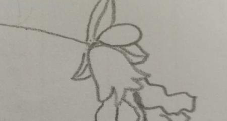 石榴树怎么画简笔画 简笔画石榴花？