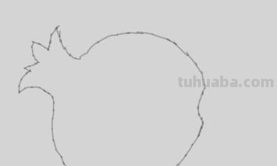 石榴树怎么画简笔画 简笔画石榴花？
