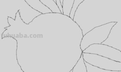 石榴树怎么画简笔画 简笔画石榴花？