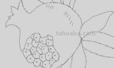 石榴树怎么画简笔画 简笔画石榴花？
