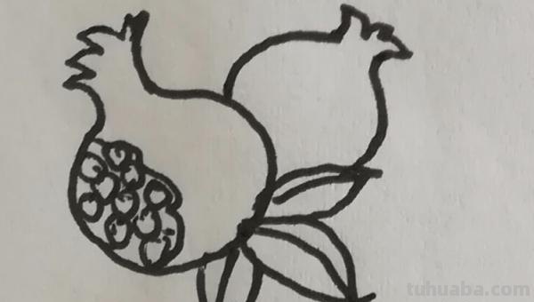 石榴树怎么画简笔画 简笔画石榴花？