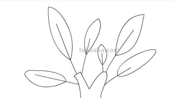 石榴树怎么画简笔画 简笔画石榴花？