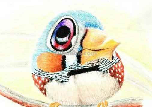 漂亮的彩铅画作品，适合临摹学习！