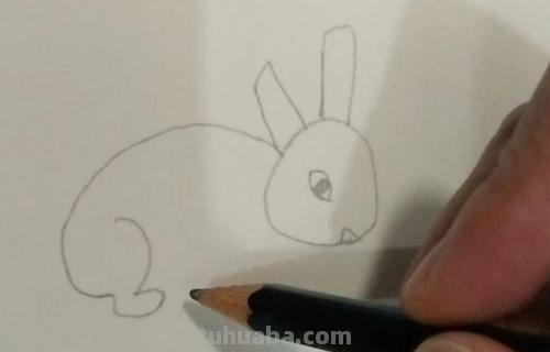 小白兔简笔画怎么画 可爱小兔子简笔画怎么画？