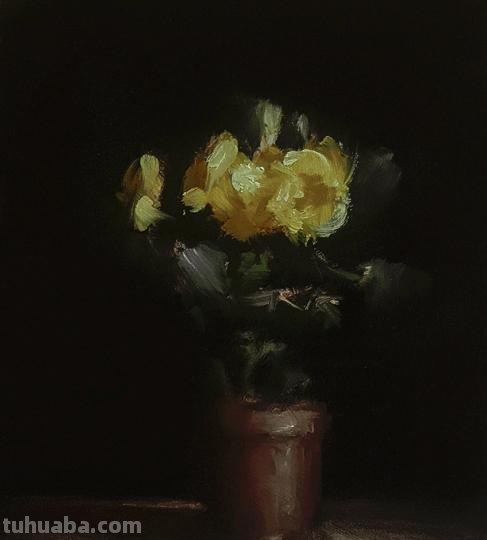 静物花卉-英国画家Neil Carroll系列4