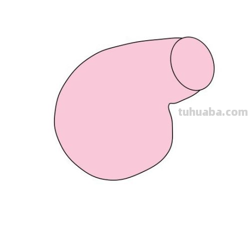小猪佩奇的画法