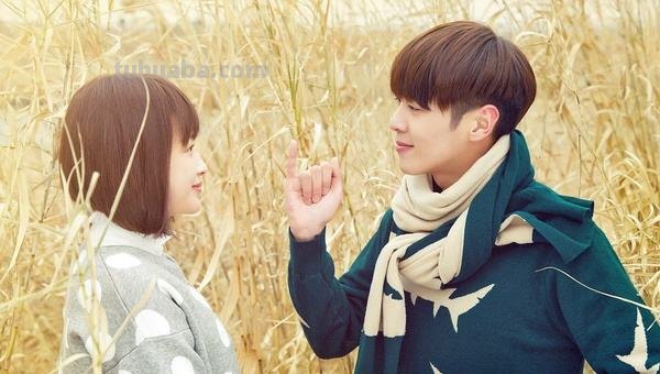 如何评价十五年等待候鸟?有什么出彩的地方?