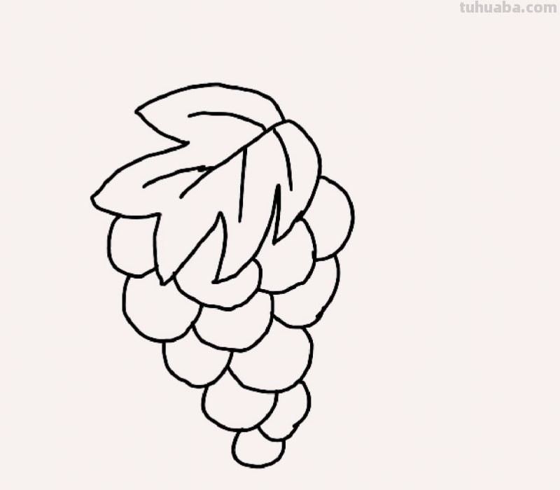 葡萄怎么画用彩铅涂色 画葡萄最简单的方法？