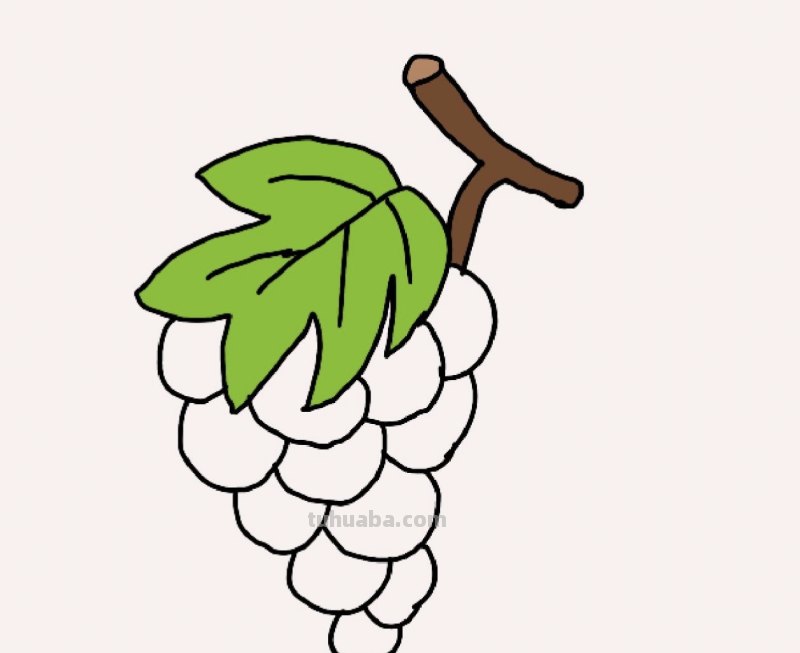 葡萄怎么画用彩铅涂色 画葡萄最简单的方法？