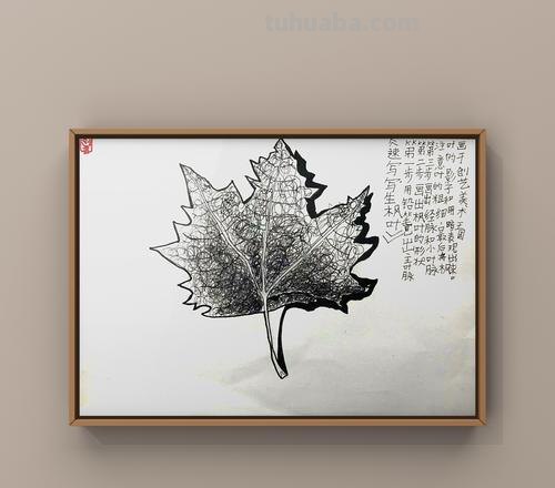 速写枫树叶 怎样画枫树叶?
