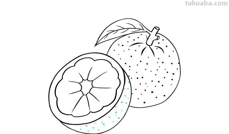桔子怎么画简笔画图片 你们的水果用什么输入法?