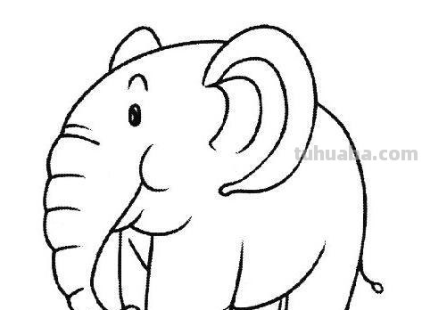 动物简笔画：熊猫、猴子、乌龟、大象、金鱼、老虎等！看谁画的好