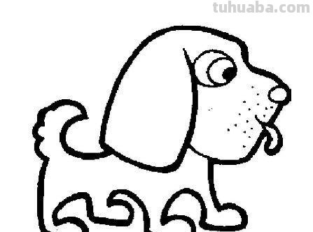 动物简笔画：熊猫、猴子、乌龟、大象、金鱼、老虎等！看谁画的好