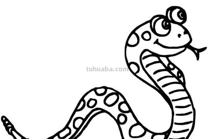 动物简笔画：熊猫、猴子、乌龟、大象、金鱼、老虎等！看谁画的好