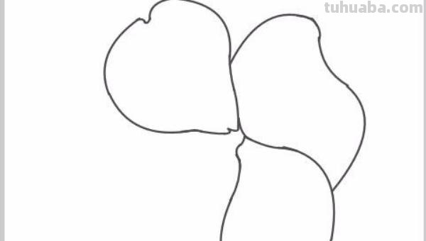 凤仙花怎么画简笔画 怎样画凤仙花？